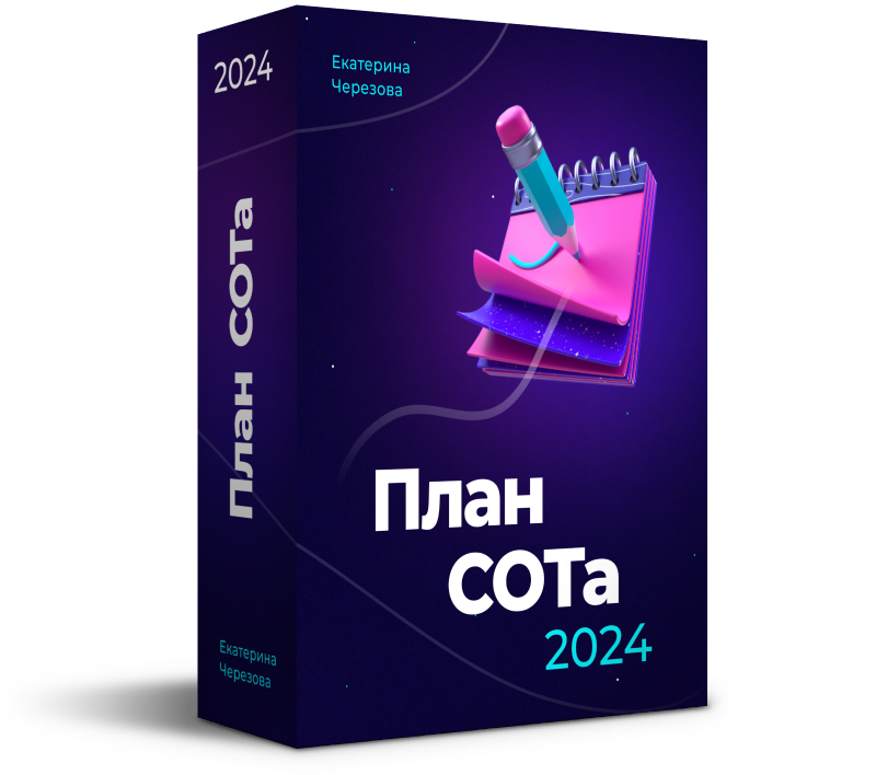 План СОТа 2024